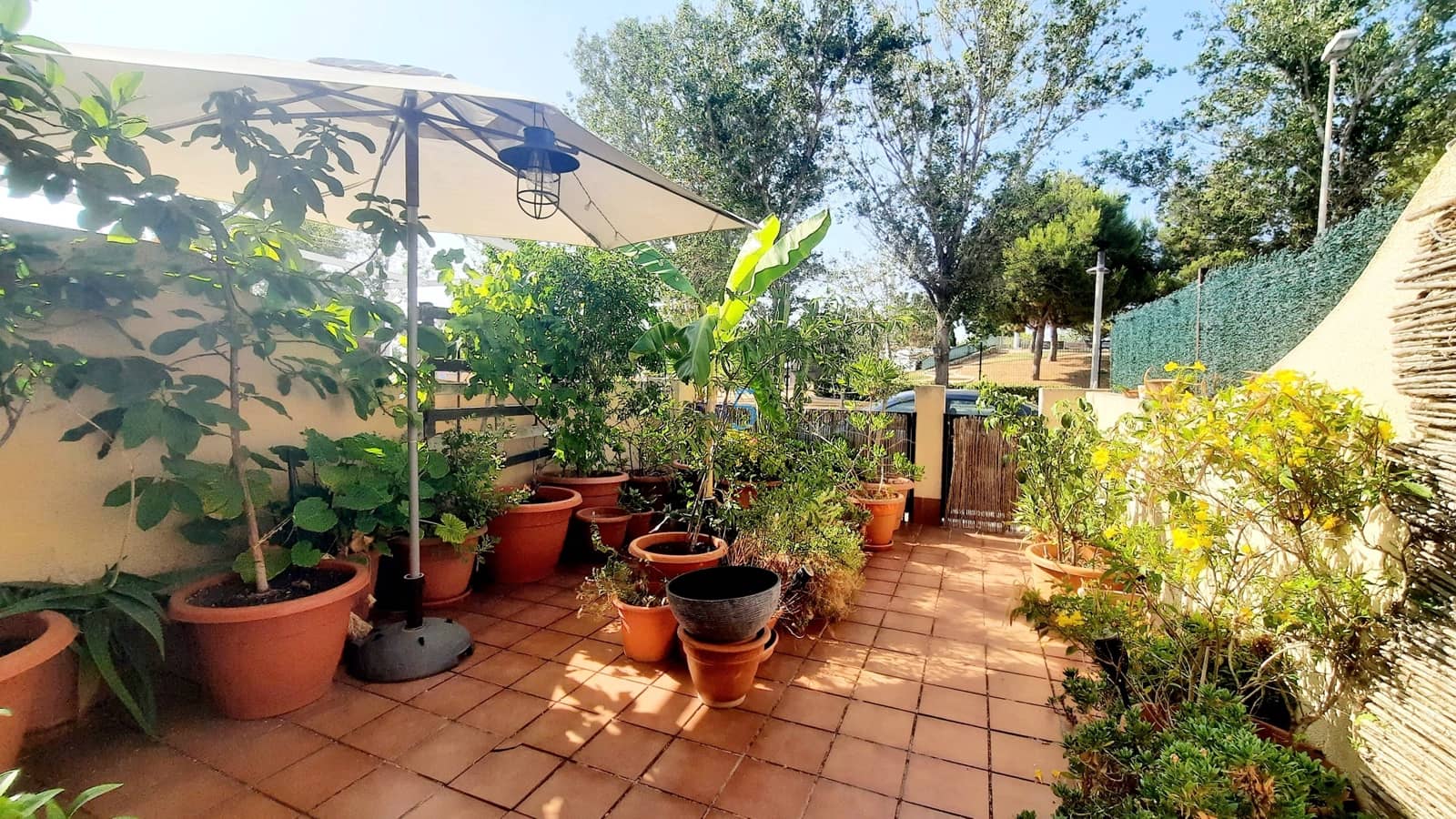 3 slaapkamer Huis te koop in San Pedro del Pinatar - € 230.000 (Ref: 9929797)