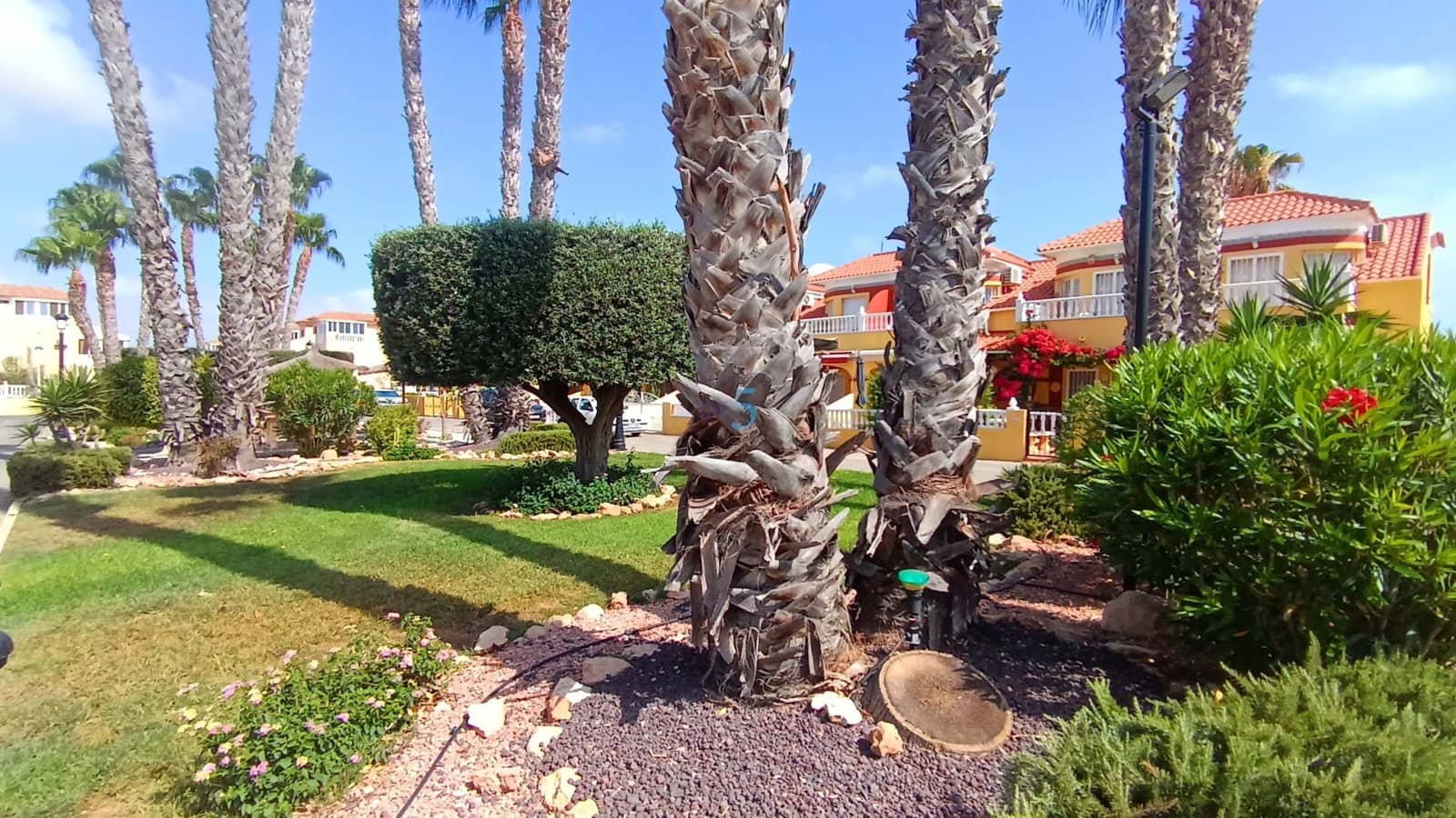 3 slaapkamer Villa te koop in Torrevieja met zwembad garage - € 195.000 (Ref: 9932444)