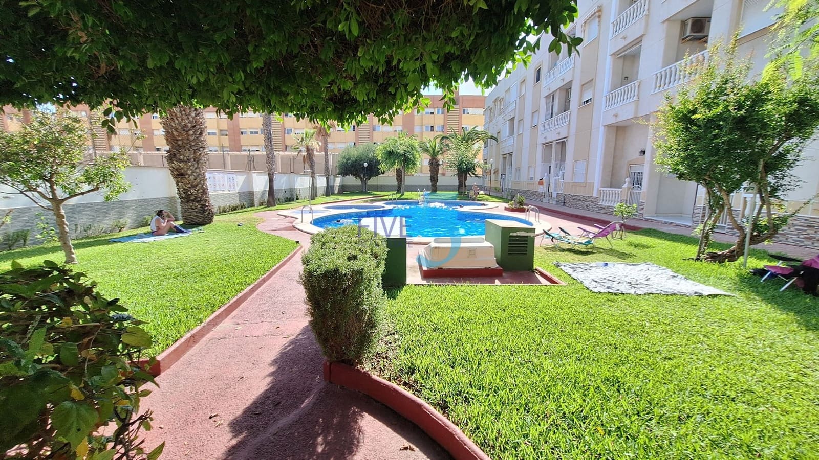 Yksiö myytävänä paikassa Torrevieja mukana uima-altaan - 86 900 € (Ref: 9941474)