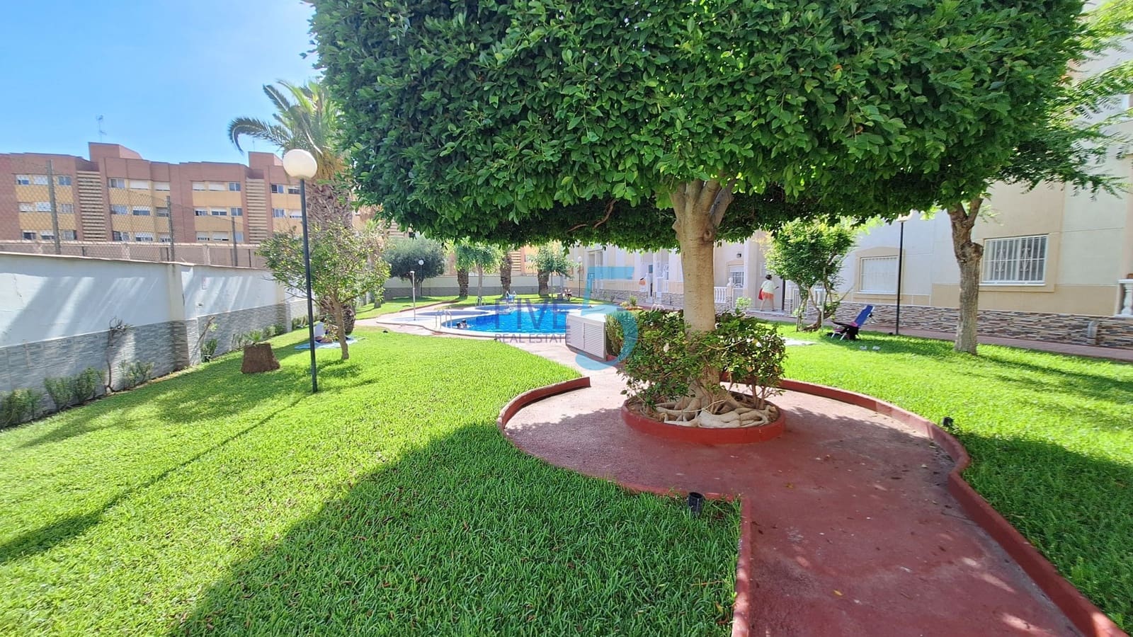 Yksiö myytävänä paikassa Torrevieja mukana uima-altaan - 86 900 € (Ref: 9941474)