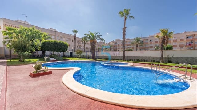 Studio for sale in Torrevieja with pool - € 86,900 (Ref: 9941474)