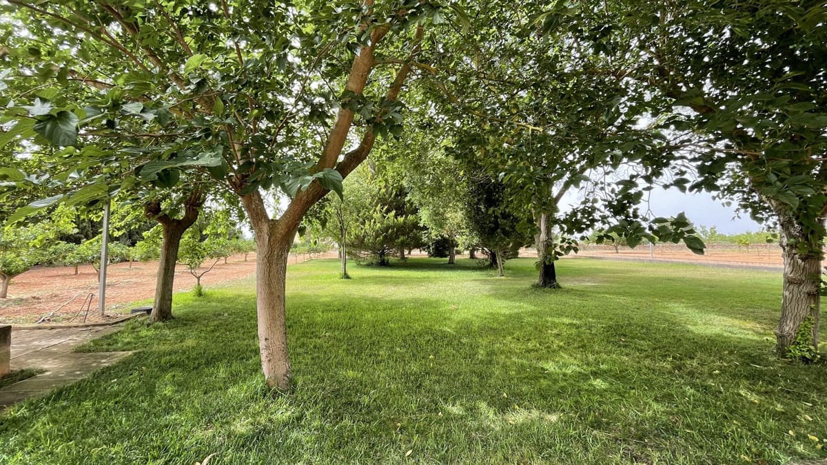 5 camera da letto Finca/Casa di Campagna in vendita in Santa Maria del Cami con piscina garage - 1.489.900 € (Rif: 6998562)