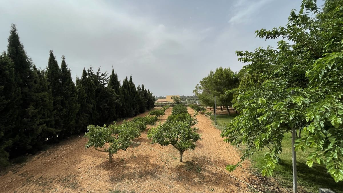 5 camera da letto Finca/Casa di Campagna in vendita in Santa Maria del Cami con piscina garage - 1.489.900 € (Rif: 6998562)