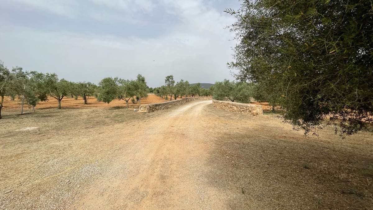 5 camera da letto Finca/Casa di Campagna in vendita in Santa Maria del Cami con piscina garage - 1.489.900 € (Rif: 6998562)