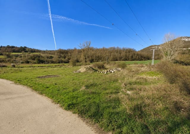 Terreno para Construção para venda em Basconcillos del Tozo - 22 310 € (Ref: 10030148)