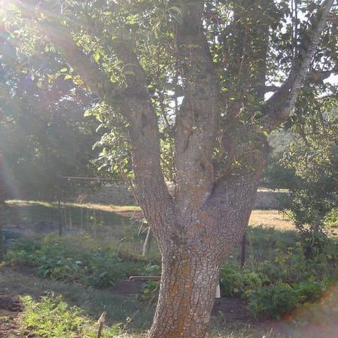 Building Plot for sale in Valdeprado del Río, Valdeprado del Río - € 104,000 (Ref: 4688071)