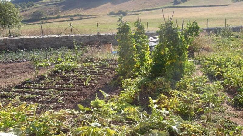 Byggegrund til salg i Valdeprado del Rio - € 104.000 (Ref: 4688071)