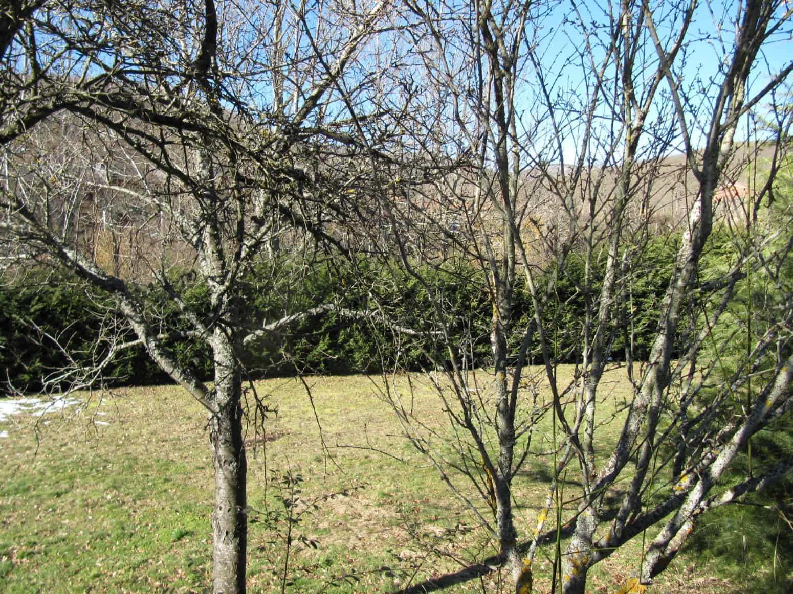 Bouwgrond te koop in Barruelo de Santullan - € 57.000 (Ref: 4688153)