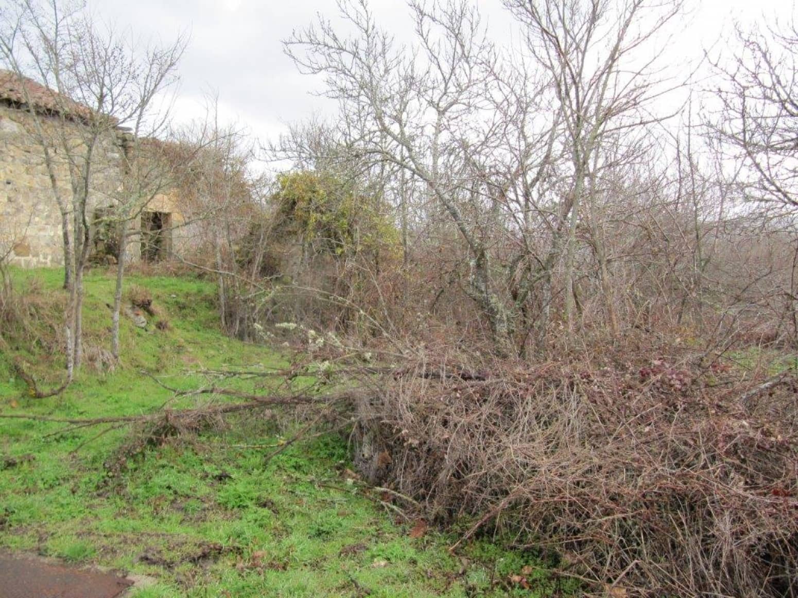 Tomt till salu i Valdeprado del Rio - 22 000 € (Ref: 4852550)