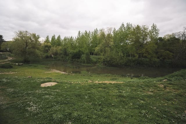 2 soveværelse Villa til salg i Alar del Rey - € 40.000 (Ref: 4852689)