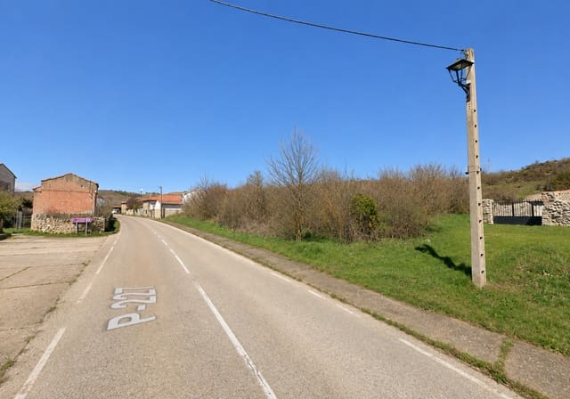 Działka budowlana na sprzedaż w Cervera de Pisuerga - 14 000 € (Ref: 5633921)