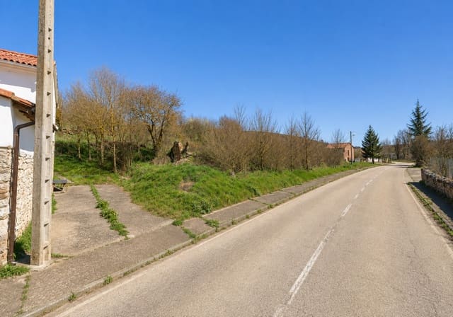 Działka budowlana na sprzedaż w Cervera de Pisuerga - 14 000 € (Ref: 5633921)