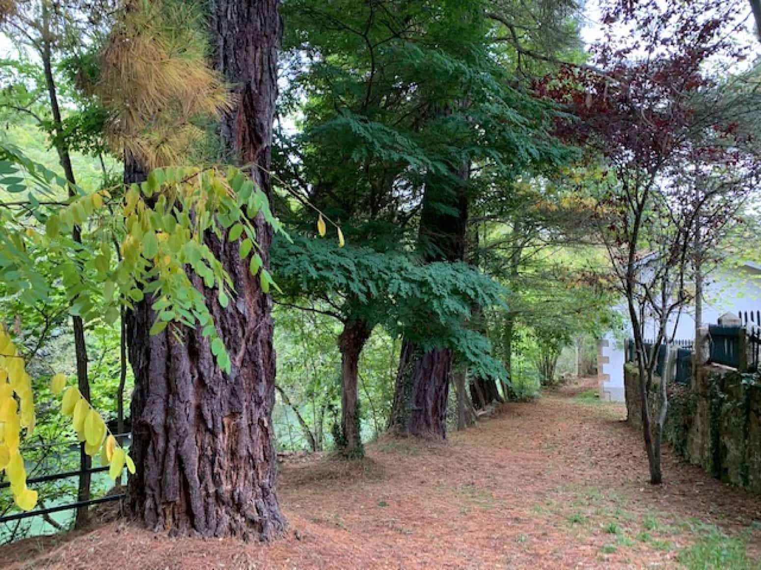 Villa til salg i Valdeprado del Rio - € 200.000 (Ref: 5794358)