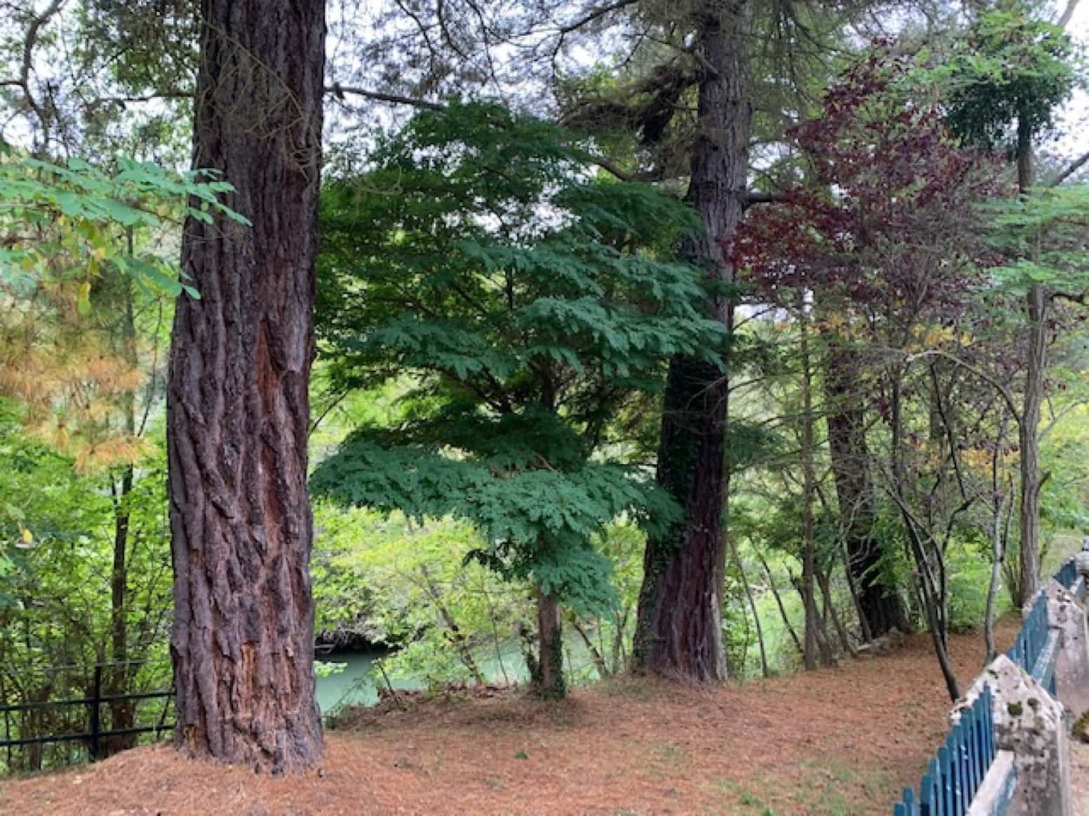 Villa til salg i Valdeprado del Rio - € 200.000 (Ref: 5794358)