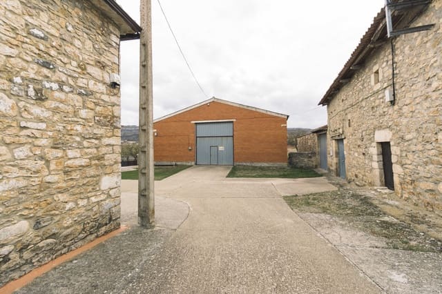 Commercial for sale in Valle de Valdelucio - € 50,000 (Ref: 6255289)