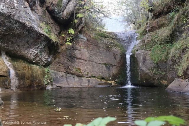 Virksomhed til salg i Brañosera - € 200.000 (Ref: 6259354)