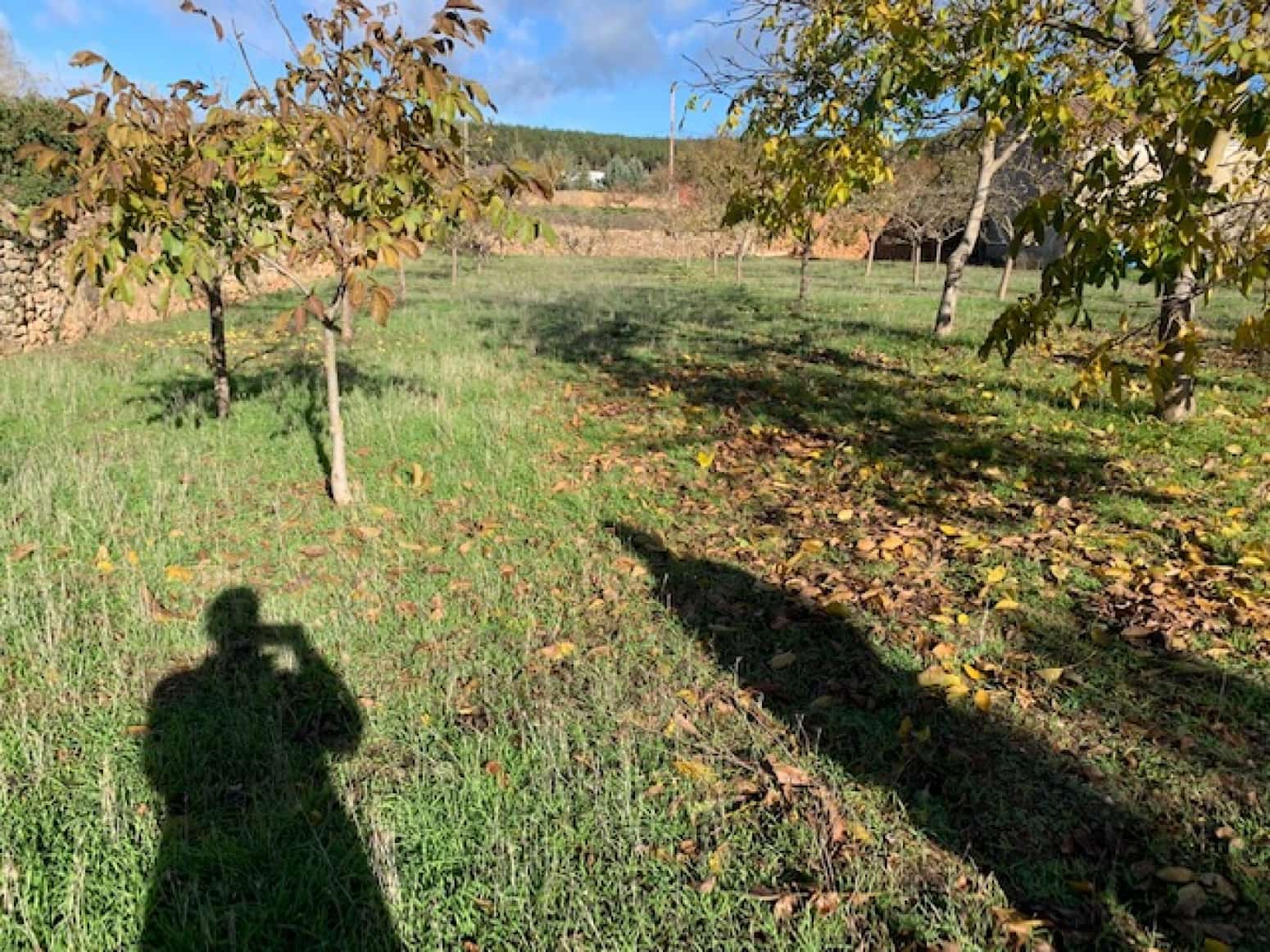 Byggegrund til salg i Pradanos de Ojeda - € 35.000 (Ref: 7442588)