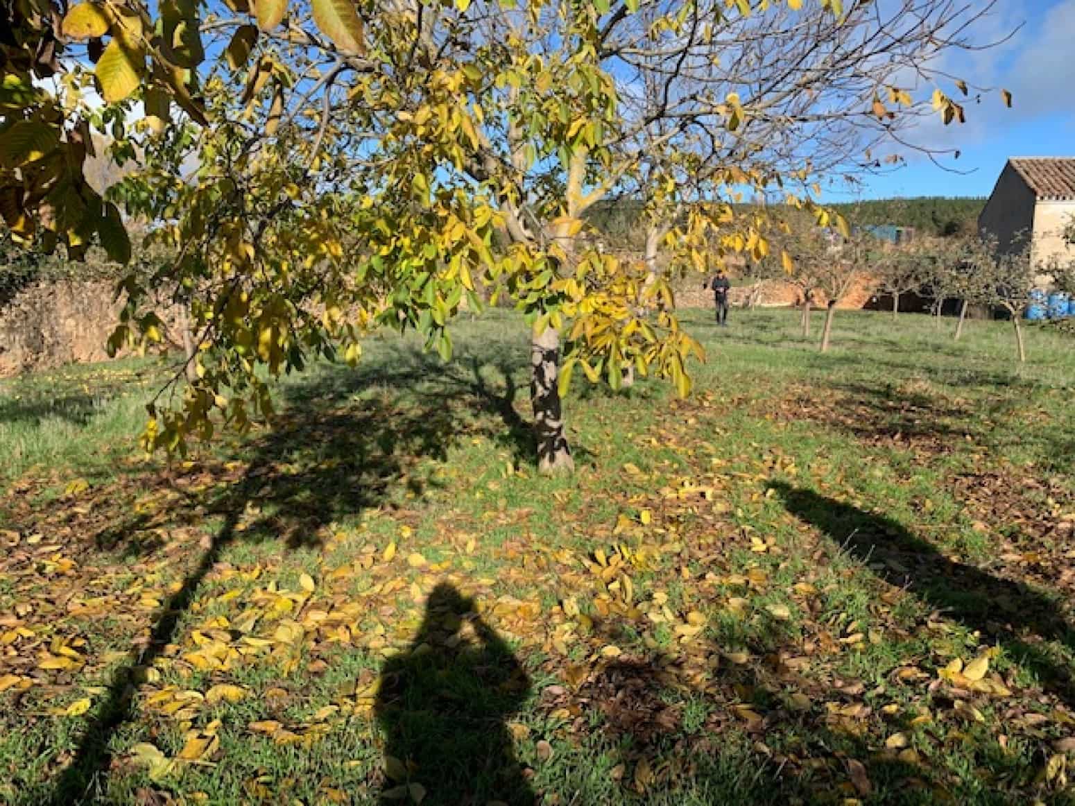 Byggegrund til salg i Pradanos de Ojeda - € 35.000 (Ref: 7442588)