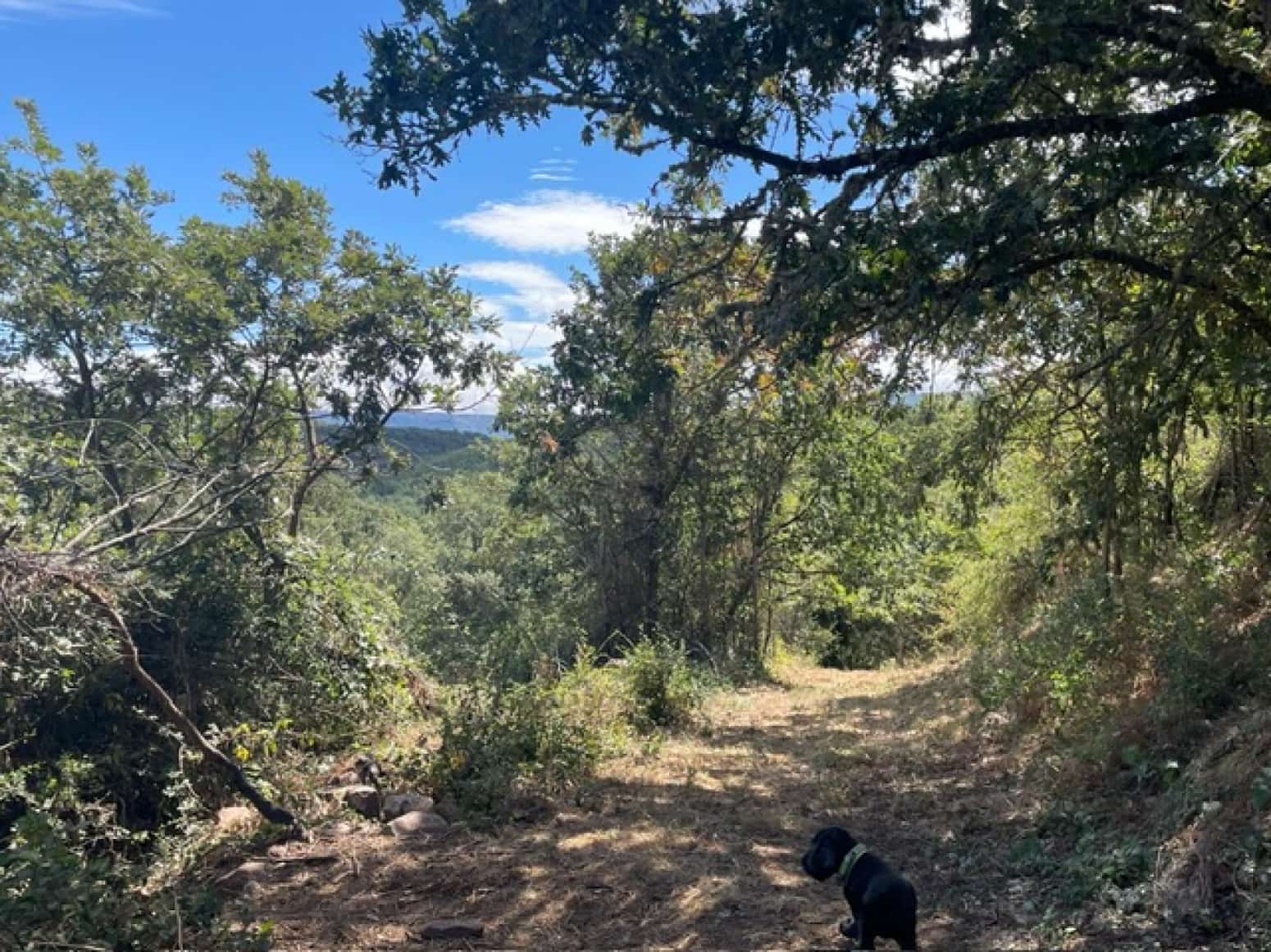 Villa til salg i Valderredible - € 60.000 (Ref: 8173982)