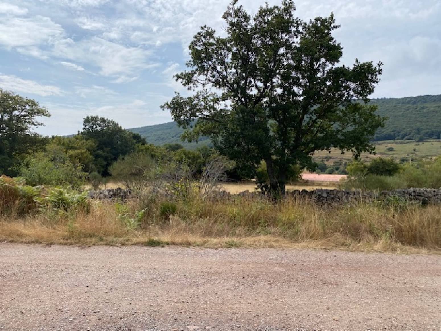 Byggegrund til salg i Branosera - € 29.000 (Ref: 8498645)