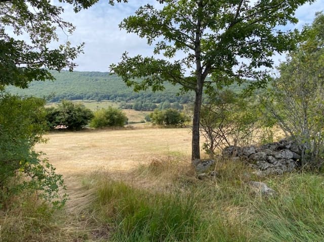 Building Plot for sale in Brañosera - € 29,000 (Ref: 8498645)