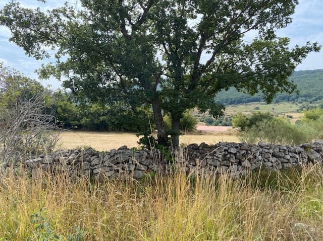 Building Plot for sale in Brañosera - € 29,000 (Ref: 8498645)
