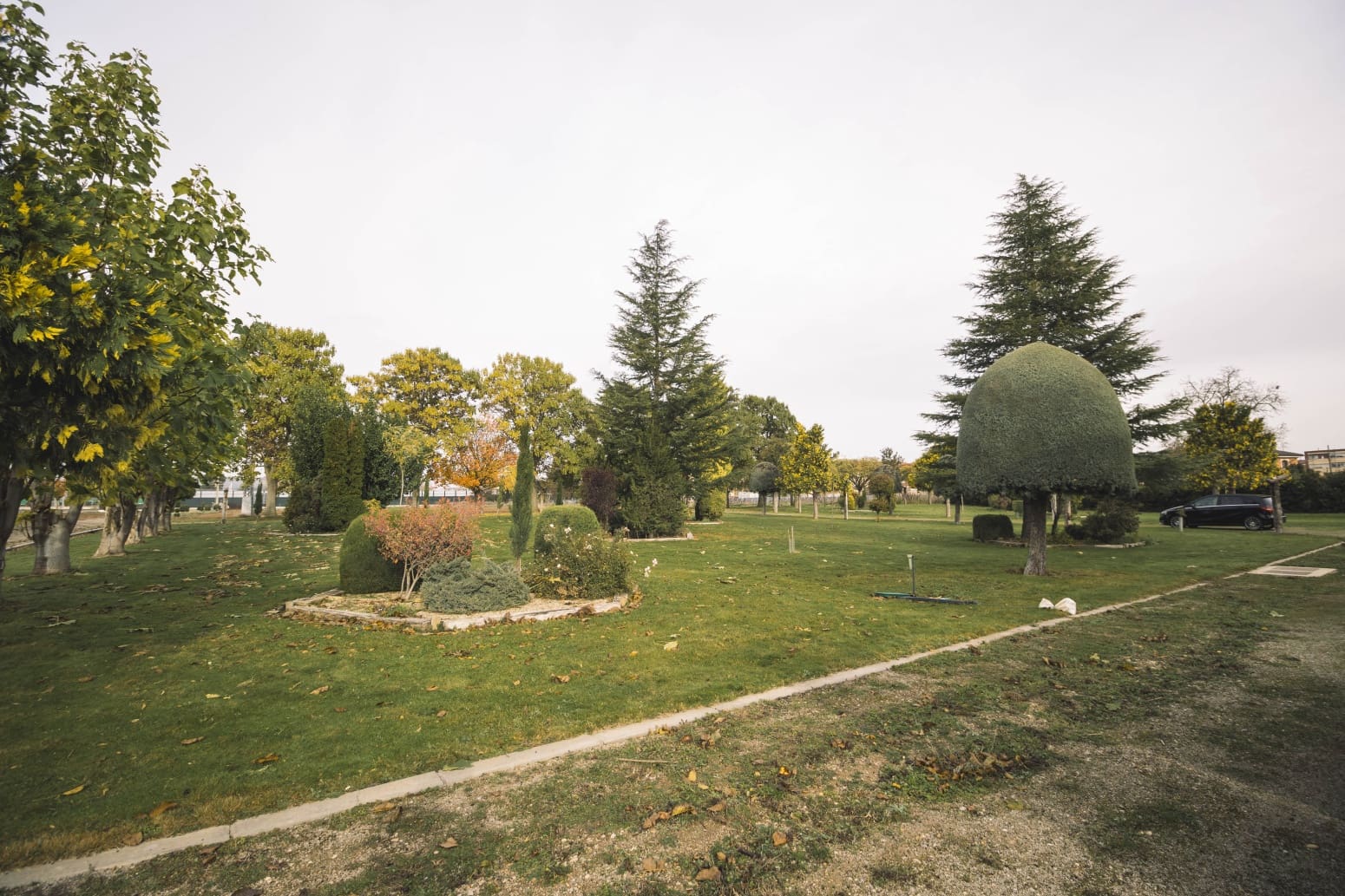 Virksomhed til salg i Venta de Banos - € 2.600.000 (Ref: 8703663)