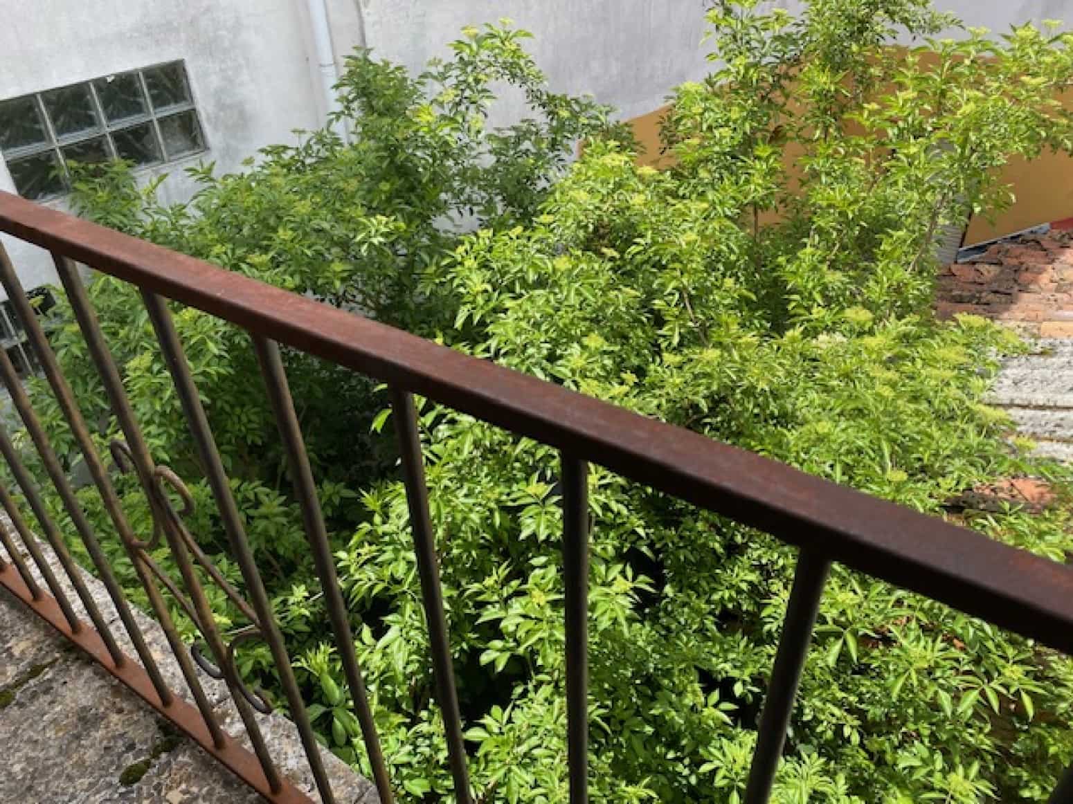 3 soveværelse Villa til salg i Cervera de Pisuerga - € 102.000 (Ref: 9007692)