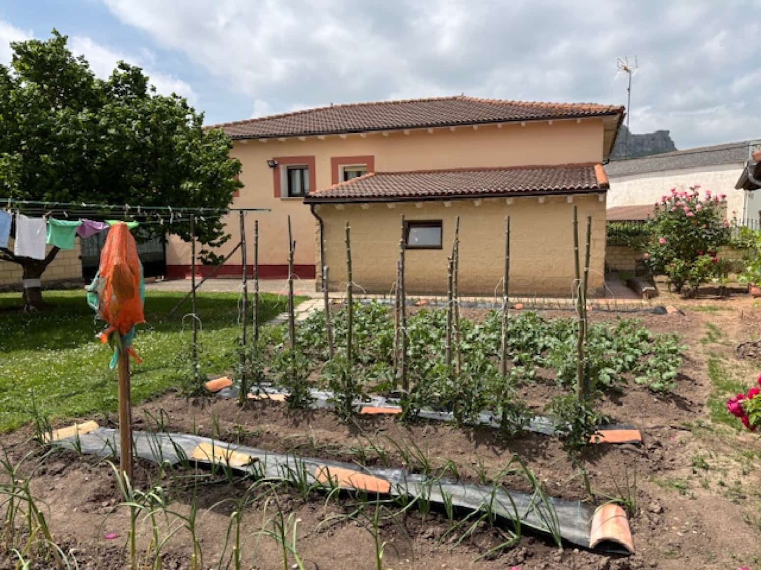 4 soveværelse Villa til salg i Humada - € 130.000 (Ref: 9077817)