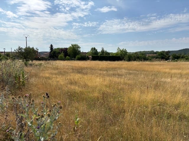 Building Plot for sale in Salinas de Pisuerga - € 80,000 (Ref: 9108509)