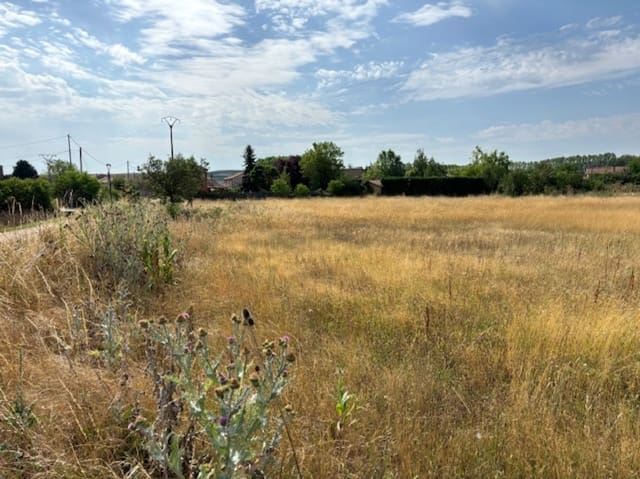 Tomt till salu i Salinas de Pisuerga - 80 000 € (Ref: 9108509)