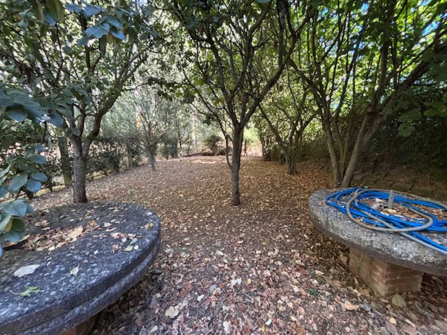 4 soveværelse Villa til salg i Collazos de Boedo med garage - € 109.000 (Ref: 9165582)