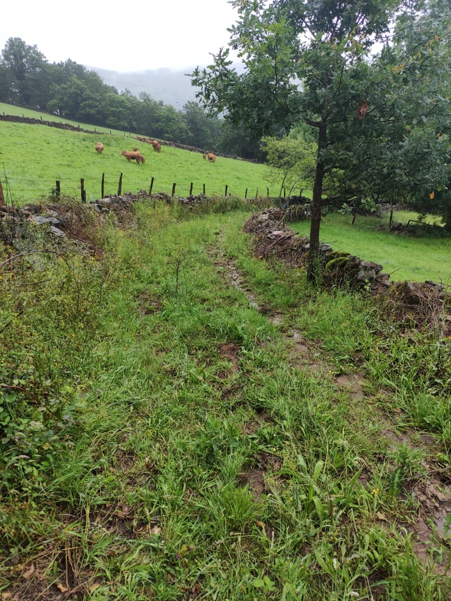 Building Plot for sale in Vega de Pas - € 70,000 (Ref: 9413772)