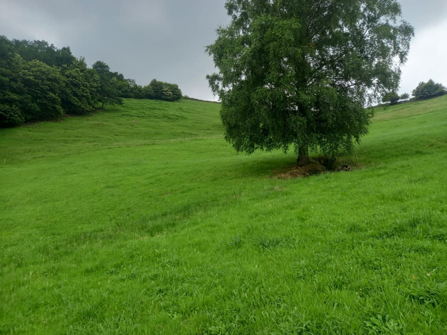 Building Plot for sale in Vega de Pas - € 70,000 (Ref: 9413772)