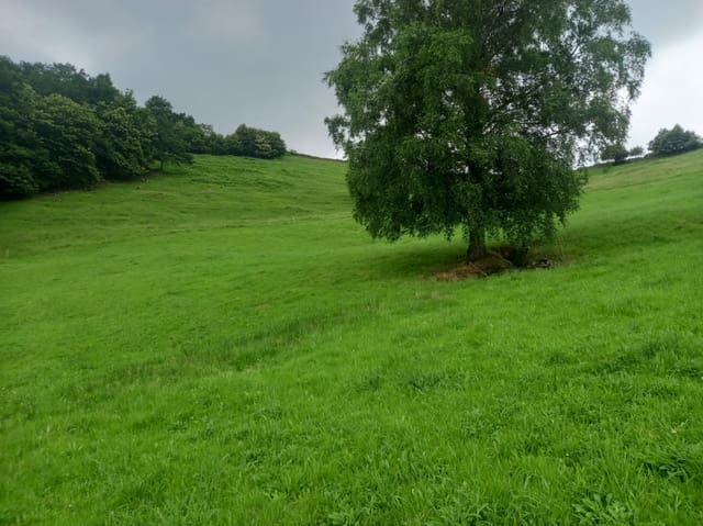 Building Plot for sale in Vega de Pas - € 70,000 (Ref: 9413772)