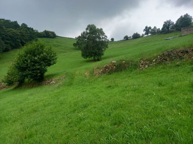 Działka budowlana na sprzedaż w Vega de Pas - 70 000 € (Ref: 9413772)