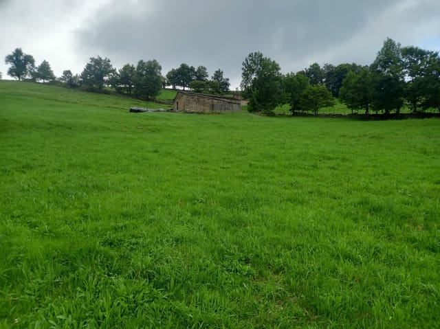 Działka budowlana na sprzedaż w Vega de Pas - 70 000 € (Ref: 9413772)
