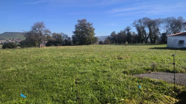 Building Plot for sale in Viveda, Santillana del Mar - € 416,000 (Ref: 9426953)