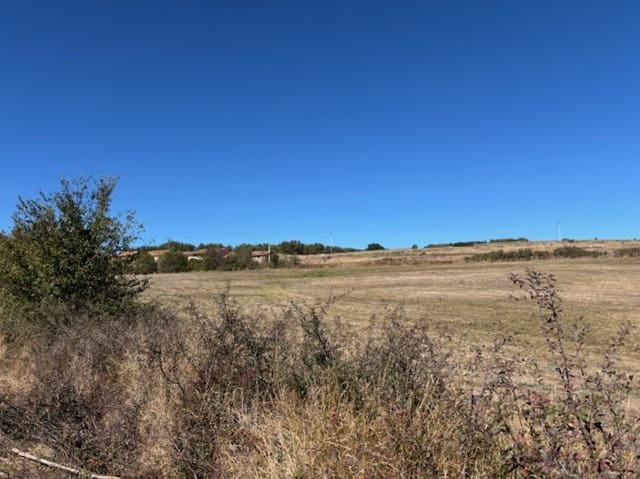 Tontti myytävänä paikassa Salinas de Pisuerga - 49 000 € (Ref: 9576265)