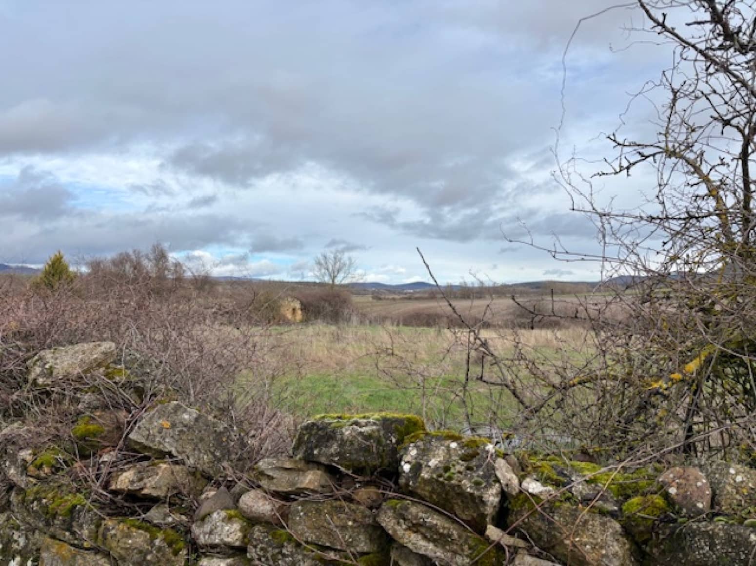 Solar/Parcela en Pomar de Valdivia en venta - 32.000 € (Ref: 9682394)