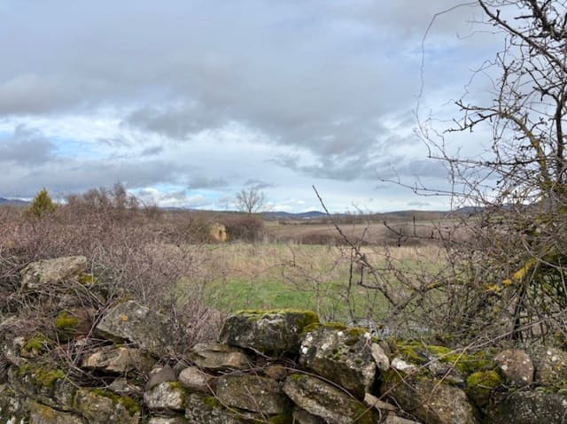 Solar/Parcela en Pomar de Valdivia en venta - 32.000 € (Ref: 9682394)