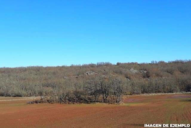 Byggetomt til salgs i Aguilar de Campoo - € 43 500 (Ref: 9868354)