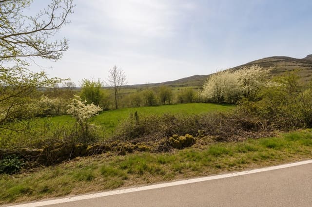 Tontti myytävänä paikassa Aguilar de Campoo - 43 500 € (Ref: 9868354)