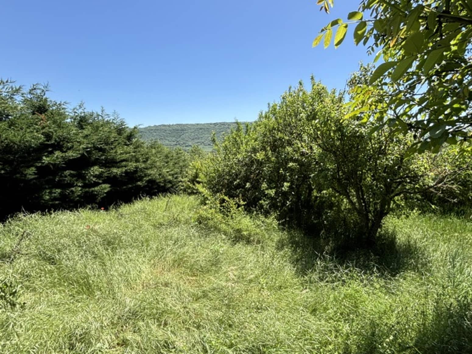 2 slaapkamer Villa te koop in Aguilar de Campoo met garage - € 60.000 (Ref: 9880682)