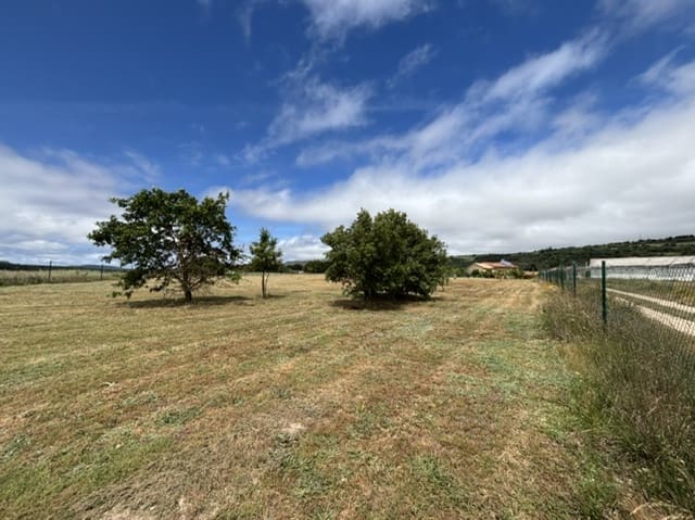 Chalet de 4 habitaciones en Valle de Valdelucio en venta - 230.000 € (Ref: 9915341)