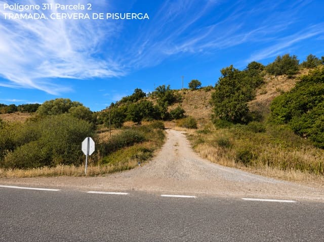 Byggetomt til salgs i Cervera de Pisuerga - € 11 400 (Ref: 9966276)