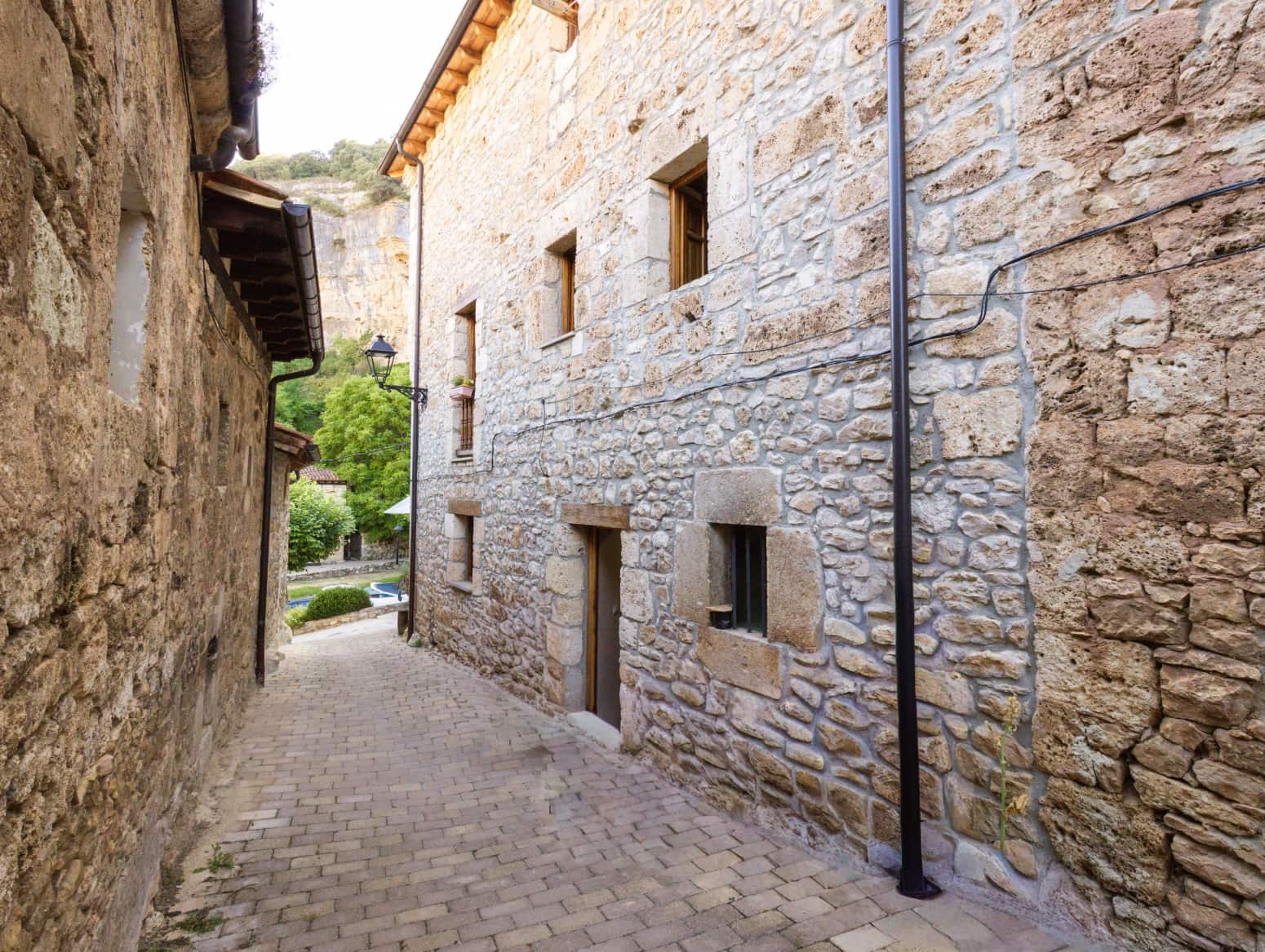 Negocio de 2 habitaciones en Valle de Sedano en venta - 600.000 € (Ref: 9979534)