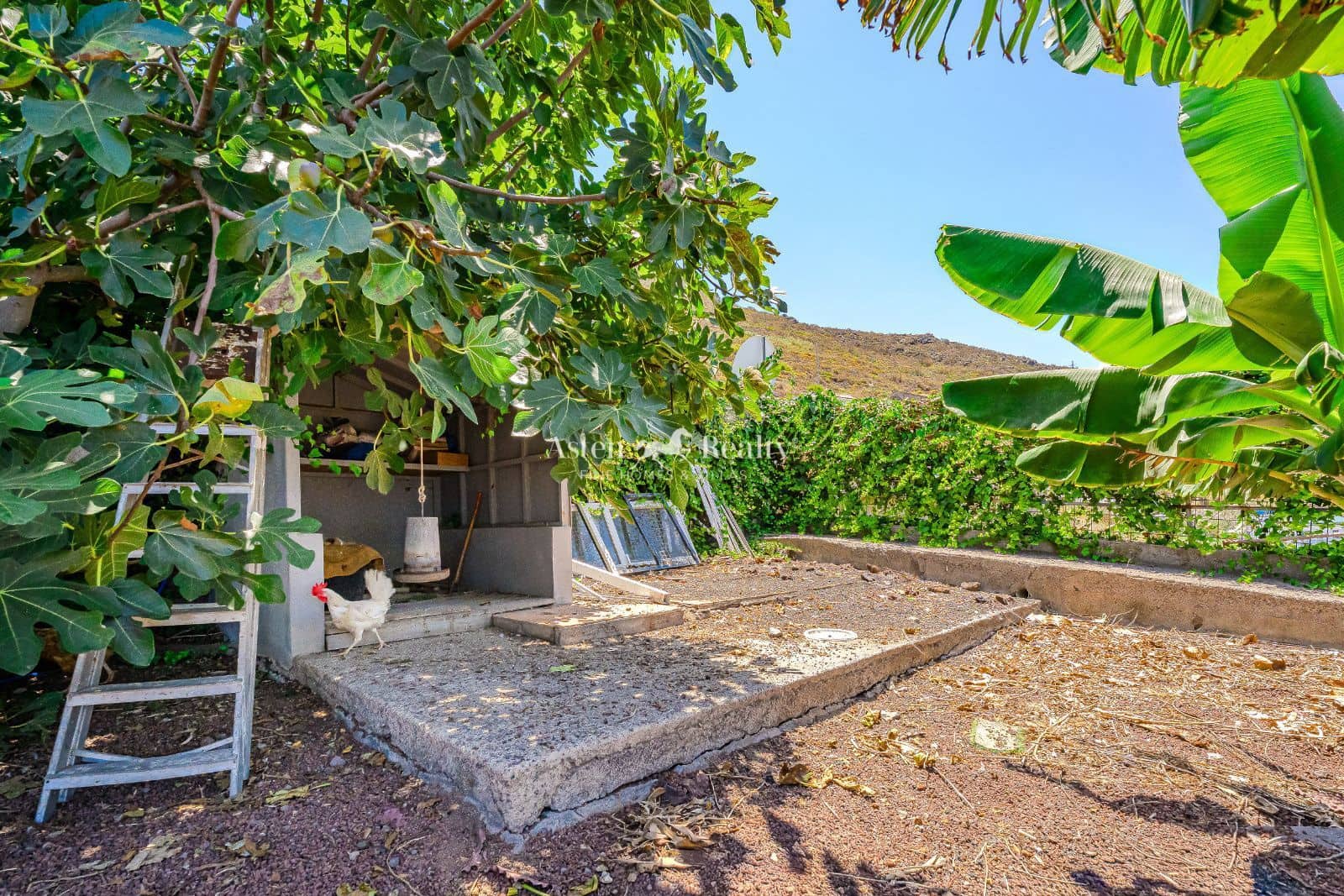 3 Zimmer Villa zu verkaufen in San Cristobal de La Laguna mit Pool Garage - 850.000 € (Ref: 10031098)