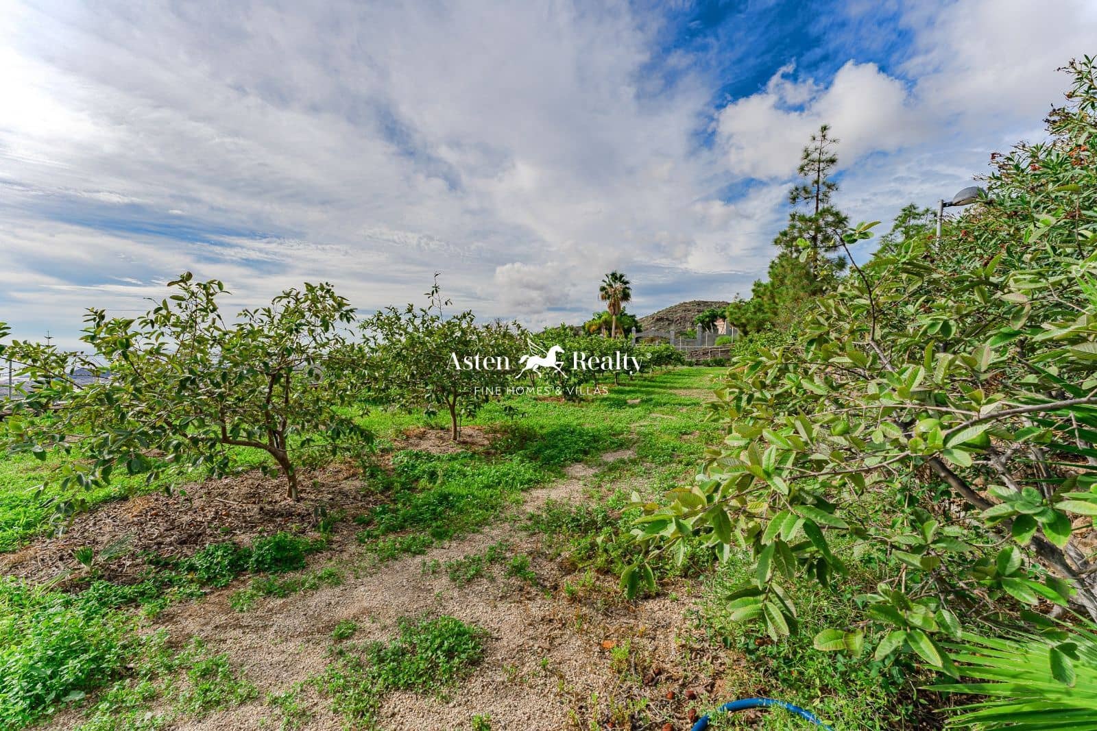 Byggetomt til salgs i San Miguel de Abona - € 600 000 (Ref: 5764813)