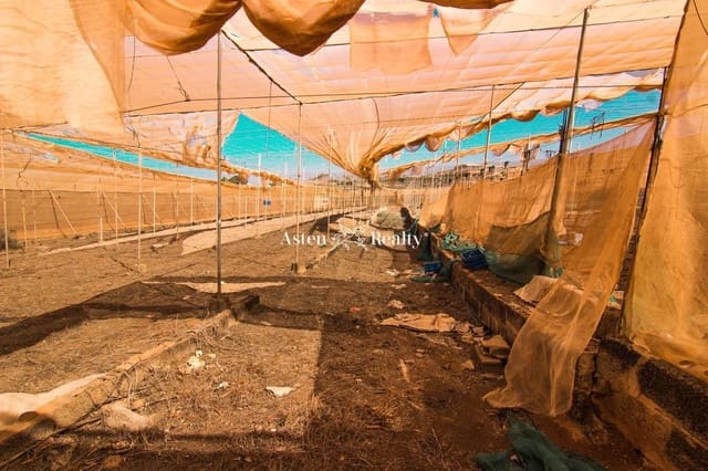 Building Plot for sale in Marazul, Adeje - € 1,500,000 (Ref: 5764830)